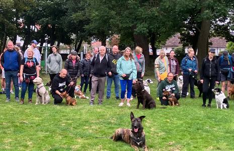 Group Dog Walking Sessions